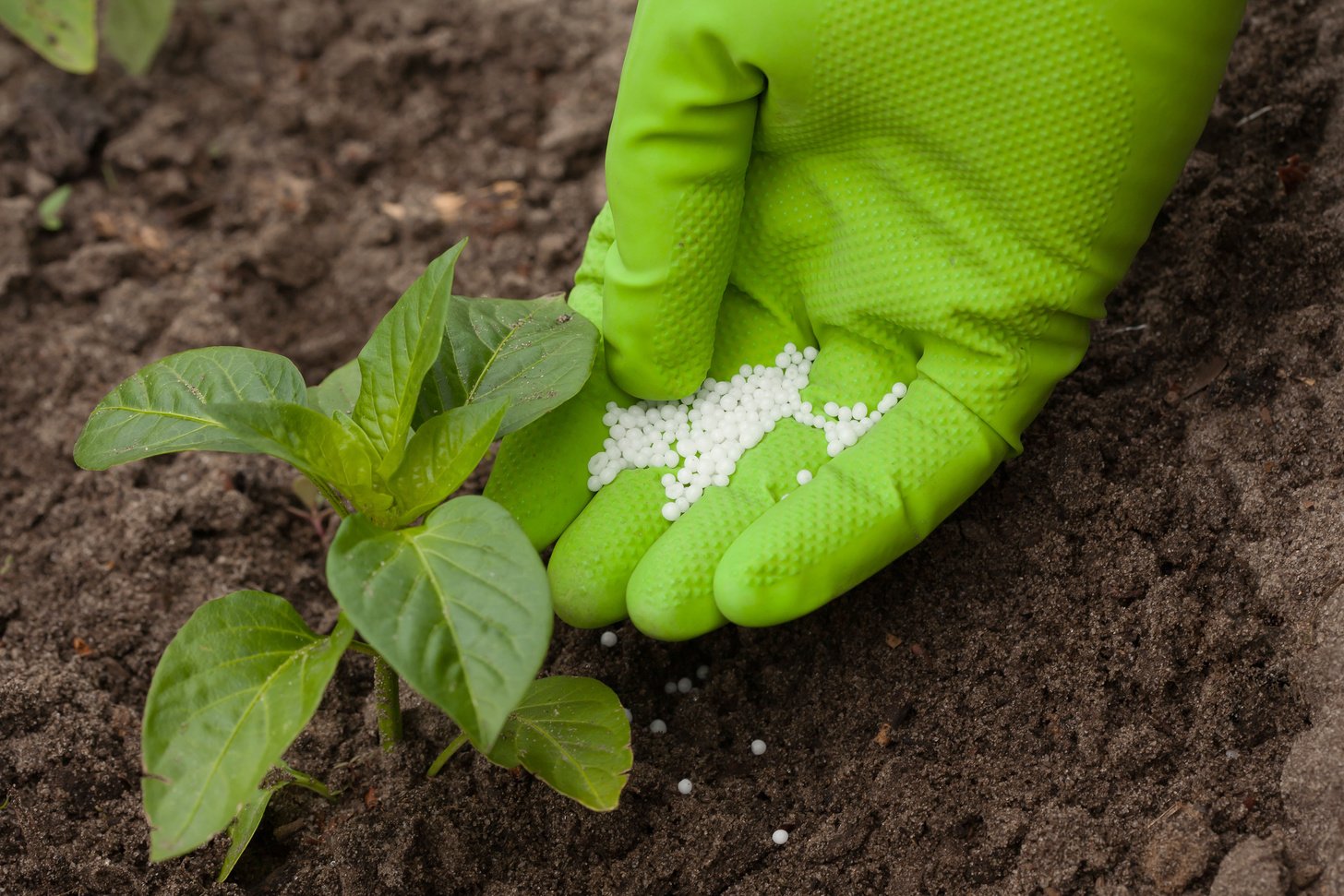 Vegetable fertilizer